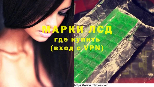 прущий лед Алзамай