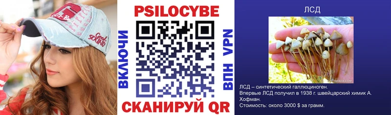 купить   Электросталь  hydra ссылка  Псилоцибиновые грибы Psilocybe 
