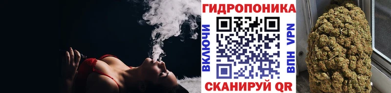 маркетплейс как зайти  kraken tor  Электросталь  Бошки марихуана планчик 